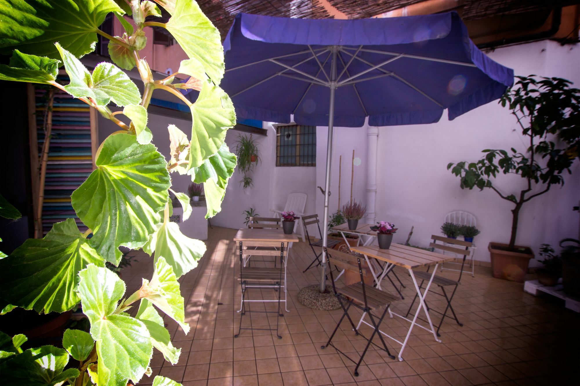 Casa Maplink Otel Roma Dış mekan fotoğraf